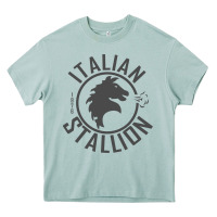 Arona Italian Stallion Heavy Core Tee - artisFamous