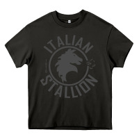 Asphalt Italian Stallion Heavy Core Tee - artisFamous