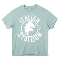 Arona Italian Stallion Heavy Core Tee - artisFamous