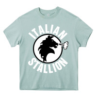 Arona italian stallion Heavy Core Tee - artisFamous