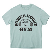 Arona power hause gym Heavy Core Tee - artisFamous