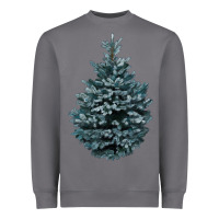 Storm Colorado Blue Spruce Heavyweight Sweatshirt - RanaPortraitStore