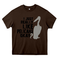 Chocolate Brown i just really like pelicans okay Heavy Core Tee - artisFamous