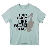 Arona i just really like pelicans okay Heavy Core Tee - artisFamous