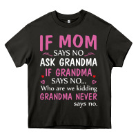 Asphalt if mom says no ask grandma if grandma says no Heavy Core Tee - artisFamous