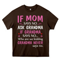 Chocolate Brown if mom says no ask grandma if grandma says no Heavy Core Tee - artisFamous