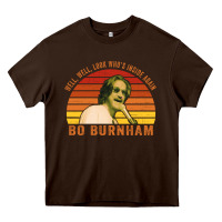 Chocolate Brown Bo Burnham T-shirt, Well, Well. Look Who's Inside Again Heavy Core Tee - artisFamous