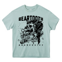 Arona Beartooth Heavy Core Tee - artisFamous