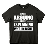 Asphalt I'M NOT ARGUING I'M JUST EXPLAINING WHY I'M RIGHT FUNNY Heavy Core Tee - artisFamous