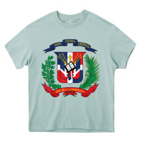 Arona dominican republic flag national emblem republica dominicana t shirt Heavy Core Tee - artisFamous