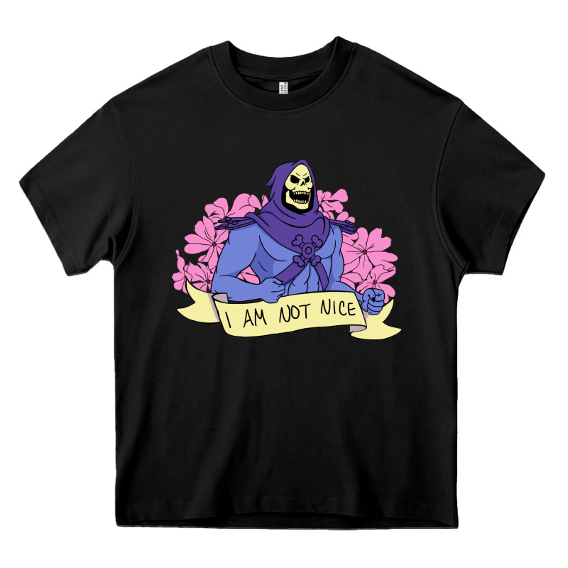 Vintage Skeletor ı Am Not Nice Heavy Core Tee by artisFamous | Teevron
