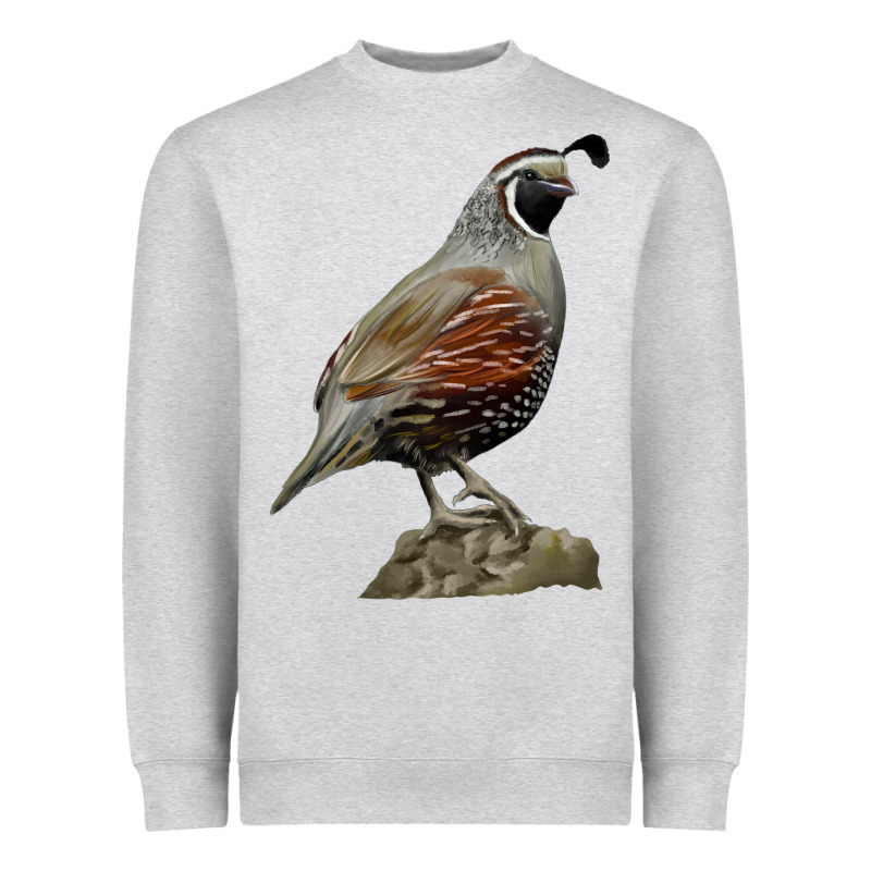 California Quail Bird Heavyweight Sweatshirt by RanaPortraitStore | Teevron