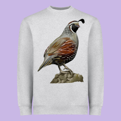 California Quail Bird Heavyweight Sweatshirt Designed By Ranaportraitstore