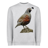 Heather Grey California Quail Bird Heavyweight Sweatshirt - RanaPortraitStore