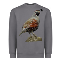 Storm California Quail Bird Heavyweight Sweatshirt - RanaPortraitStore