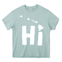 Arona hi hawaii Heavy Core Tee - artisFamous