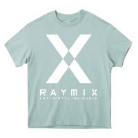 Arona raymix latin stylish Heavy Core Tee - artisFamous