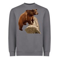 Storm California Grizzly Bear Heavyweight Sweatshirt - RanaPortraitStore