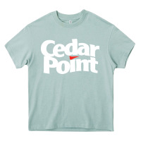 Arona cedar point Heavy Core Tee - artisFamous