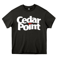 Asphalt cedar point Heavy Core Tee - artisFamous