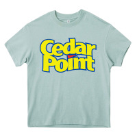 Arona cedar point Heavy Core Tee - artisFamous