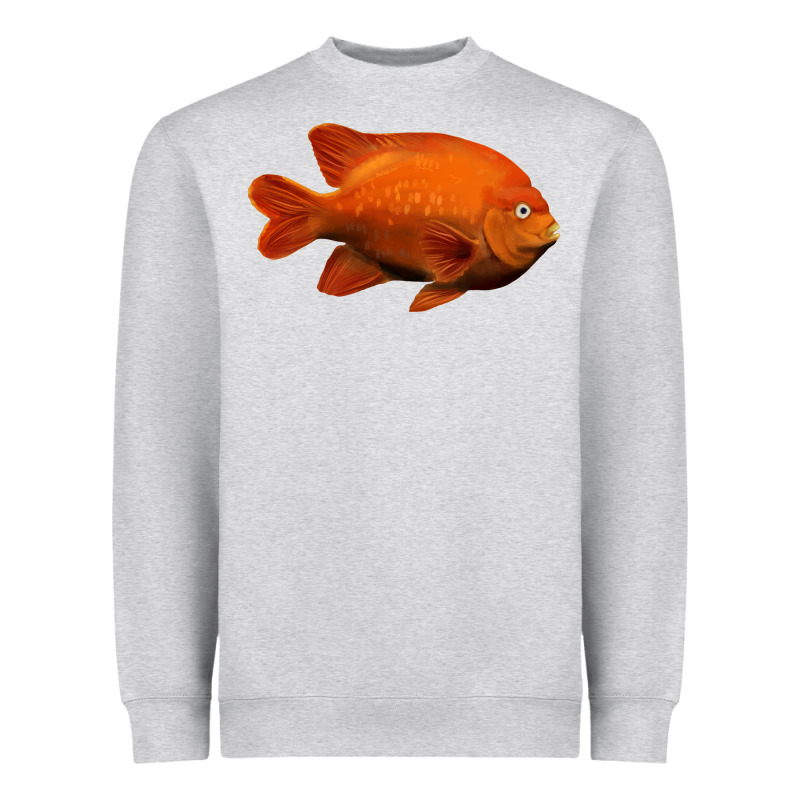 California Garibaldi Fish Heavyweight Sweatshirt by RanaPortraitStore | Teevron