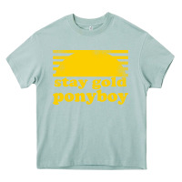 Arona stay gold ponyboy the outsiders movie book Heavy Core Tee - artisFamous