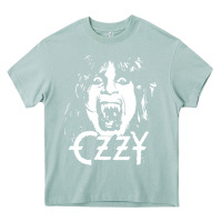Arona crazy train vintage rock Heavy Core Tee - artisFamous