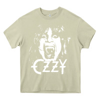 Mossy crazy train vintage rock Heavy Core Tee - artisFamous