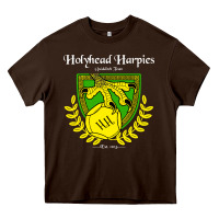 Chocolate Brown holyhead harpies Heavy Core Tee - artisFamous