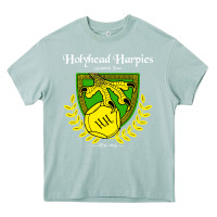 Arona holyhead harpies Heavy Core Tee - artisFamous
