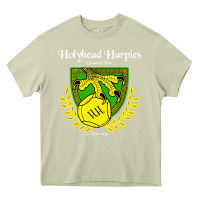 Mossy holyhead harpies Heavy Core Tee - artisFamous