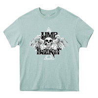 Arona Limp Bizkit Essential Heavy Core Tee - artisFamous