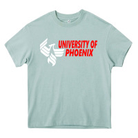Arona university of phoenix Heavy Core Tee - artisFamous