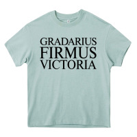 Arona gradarius firmus victoria Heavy Core Tee - artisFamous