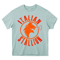 Arona italian stallion Heavy Core Tee - artisFamous