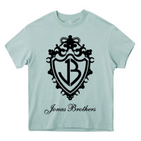 Arona jona's brothers Heavy Core Tee - artisFamous