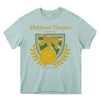 Arona holyhead harpies Heavy Core Tee - artisFamous