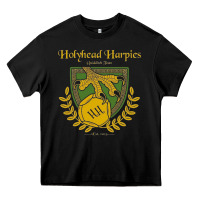 Black holyhead harpies Heavy Core Tee - artisFamous