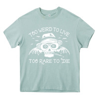 Arona too weird to live too rare to die Heavy Core Tee - artisFamous