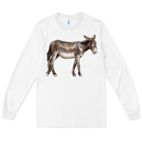 White american mammoth jackstock donkey Long Sleeve Tee - LillyAllenDesigns