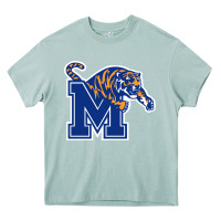 Arona the memphis athletic teams tigers Heavy Core Tee - artisFamous