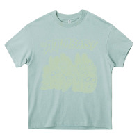 Arona the aquabats Heavy Core Tee - artisFamous
