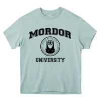 Arona mordor university Heavy Core Tee - artisFamous