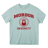 Arona mordor university Heavy Core Tee - artisFamous