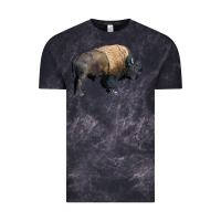 Cloud Black Bison Buffalo Vintage Tee - LillyAllenDesigns