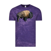 Cloud Purple Bison Buffalo Vintage Tee - LillyAllenDesigns