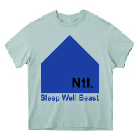 Arona the national party Heavy Core Tee - artisFamous