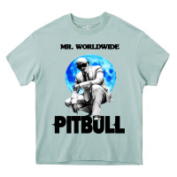Arona merch mr worldwide pit bull Heavy Core Tee - artisFamous