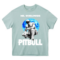 Arona merch mr worldwide pit bull Heavy Core Tee - artisFamous